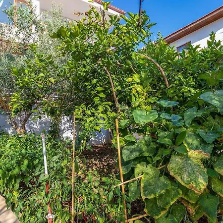 Hanim Pinar Butik Hotel *