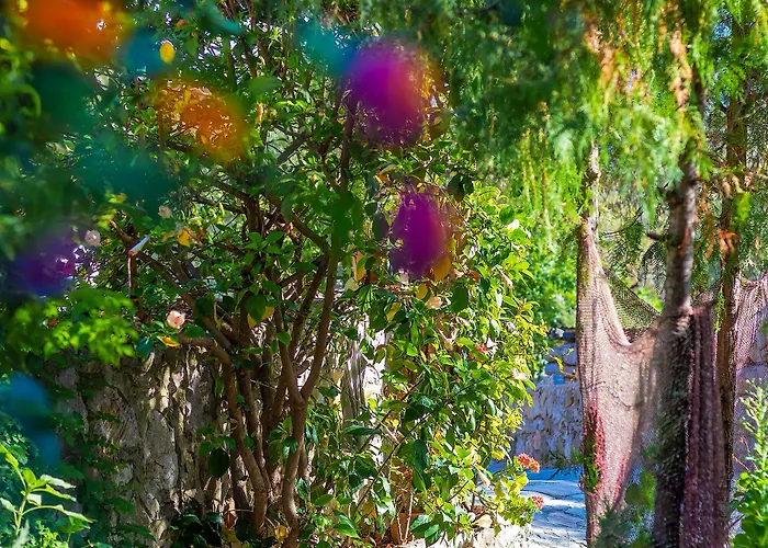 Отель Hanim Pinar Butik *