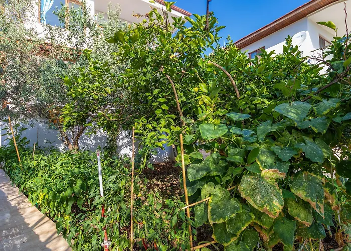 Hanim Pinar Butik Отель *